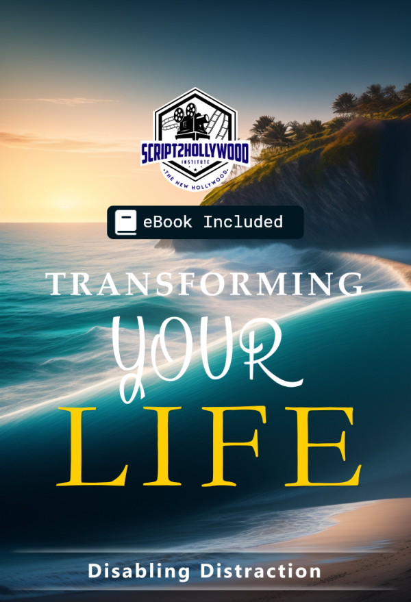 Disabling Distraction (Ebook)